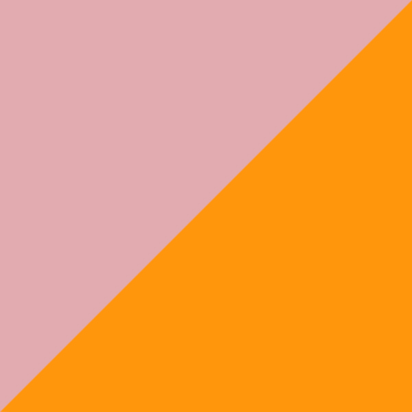 C20-P60 / SL100 Orange