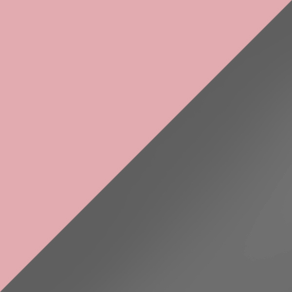 C20-P60 / SL40 Silver Mirrored-Gray