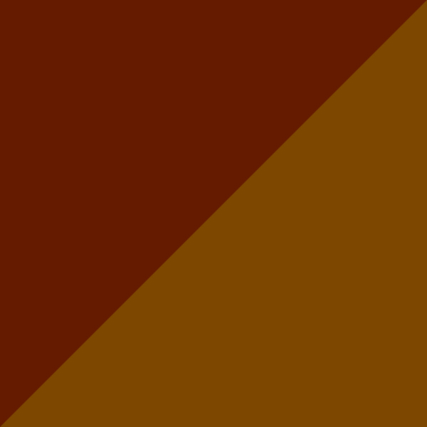 C10-GT / IP01 Brown Polarized