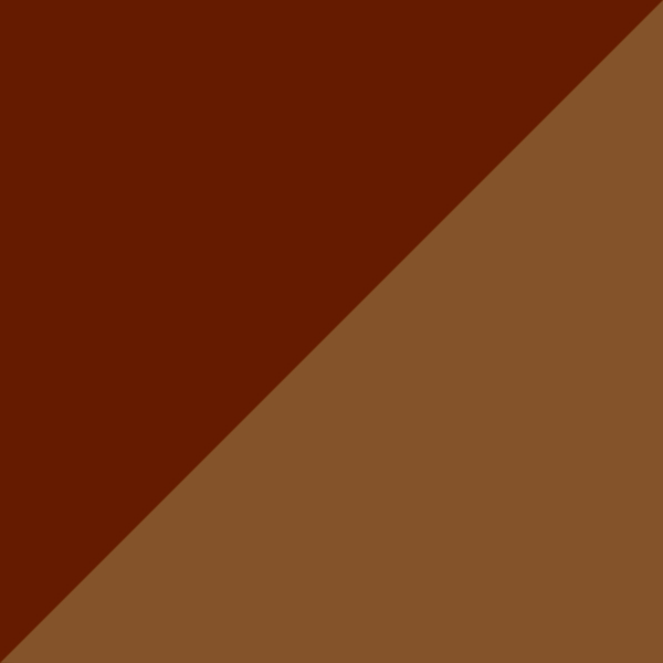 C10-GT / SL104 Brown