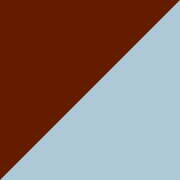 C10-GT / SL55 Light Blue