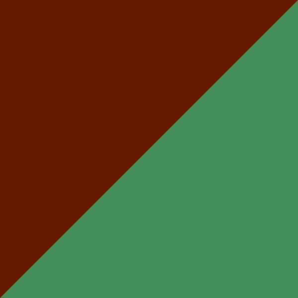 C10-GT / SL46 Light Green