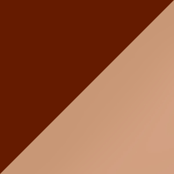 C10-GT / SL54 Rose Gold Mirrored-Medium Gray