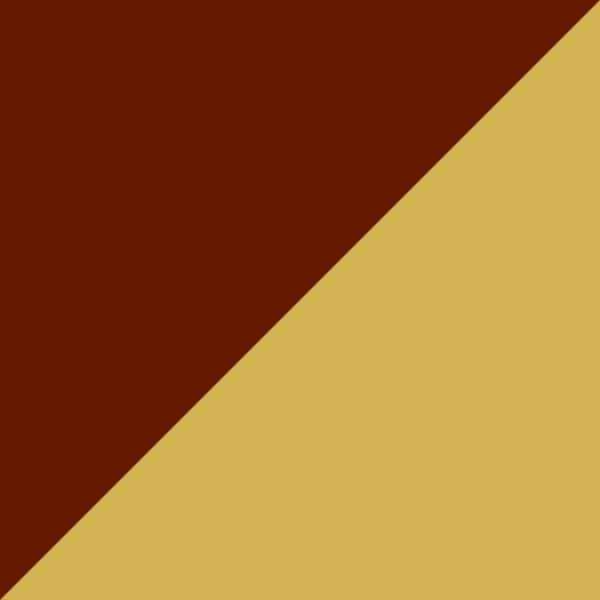 C10-GT / SL36 Yellow Curry