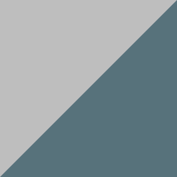 P10 / SL43 Blue/Gray