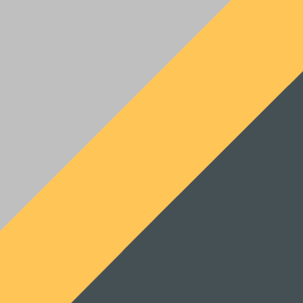 P10/GT / IP02 Gray Polarized