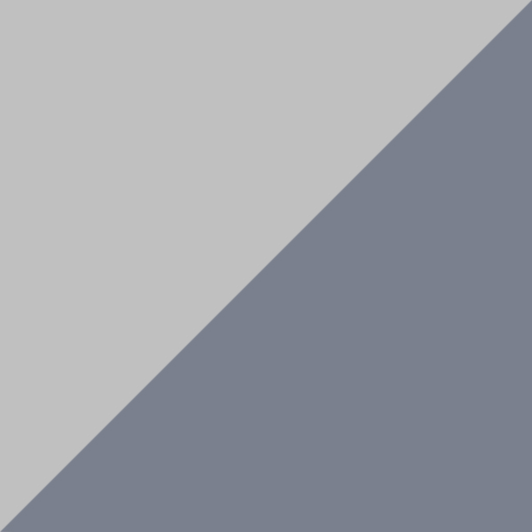 P10 / SL66 Gray/Blue