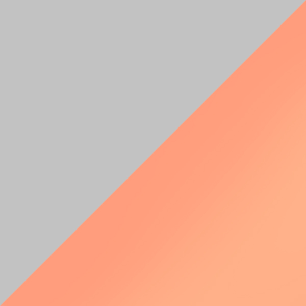 P10 / SL50 Orange Mirrored-Medium Gray