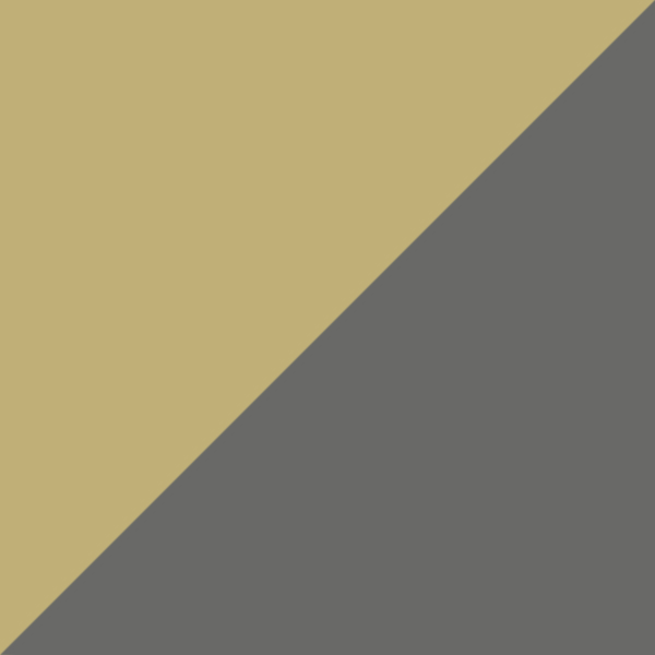 U9/GT