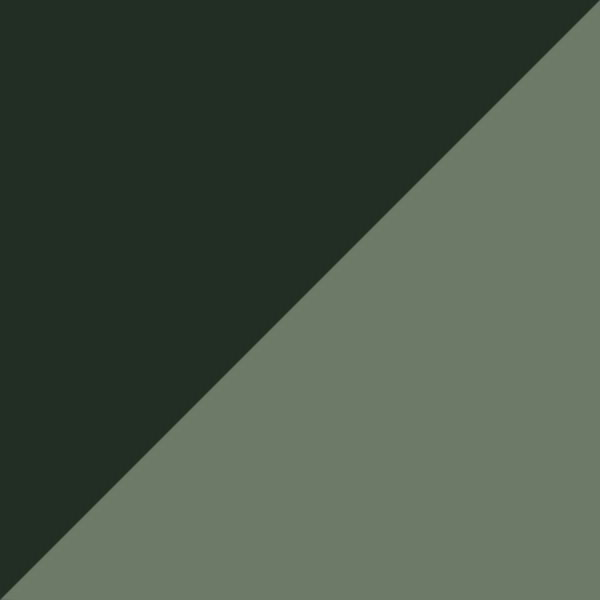 Amazon Green Metal / Green