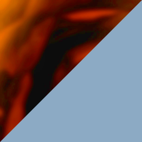 Amber Tortoise / Clear Gradient Blue