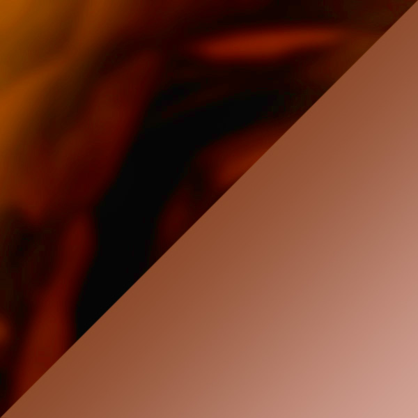 Amber Tortoise / Brown Gradient