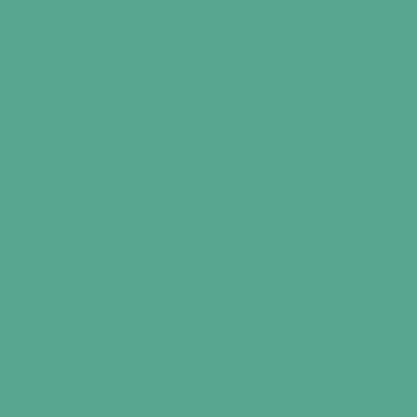 Anise Opal / Dark Gray 19L09T