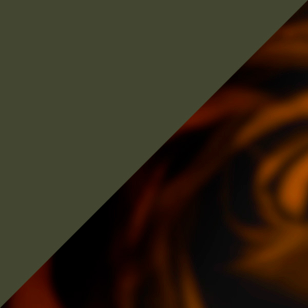 Atago Tortoise / G-15