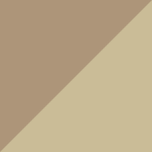 Opal Nude/Pale Gold / Pink Gradient