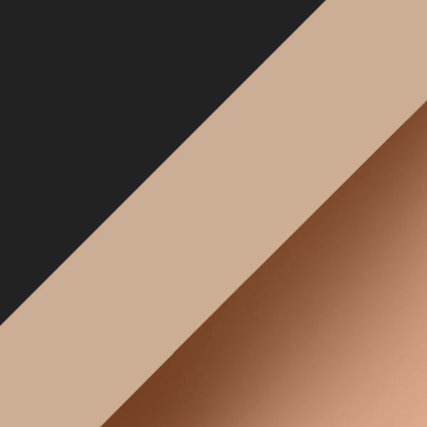 Shiny Gradient Black/Transparent Beige / Light Gradient Brown