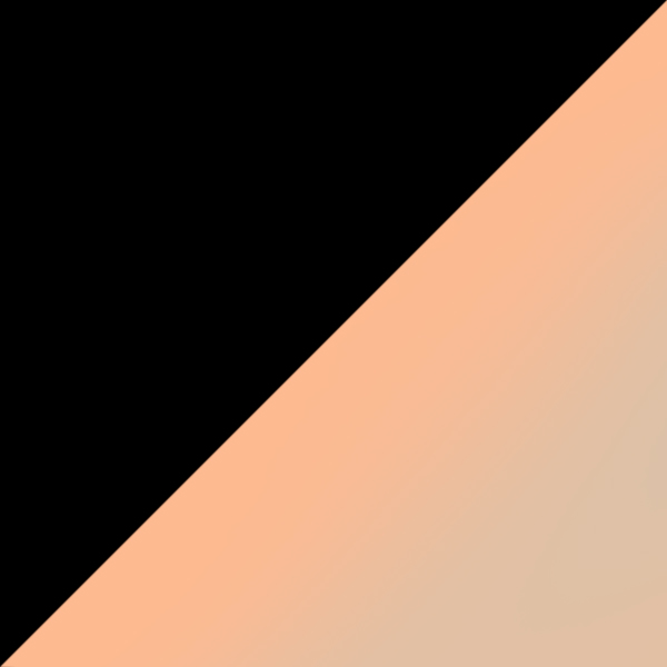 Black / Light Brown Mirrored Pink