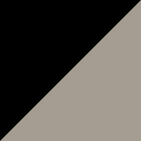 Black / Gray Tampo BURBERRY Silver / Gold