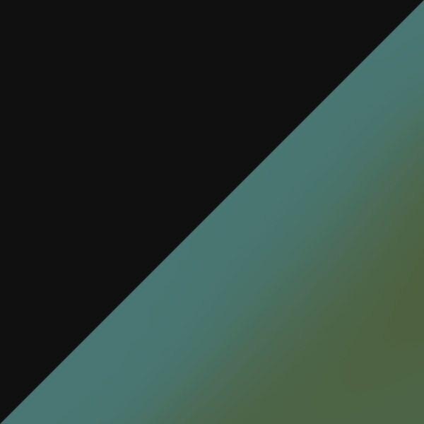 Shiny Black / Clear/Graphite Green Transitions