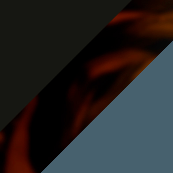 Shiny Black on Spotty Havana / Gray/Blue