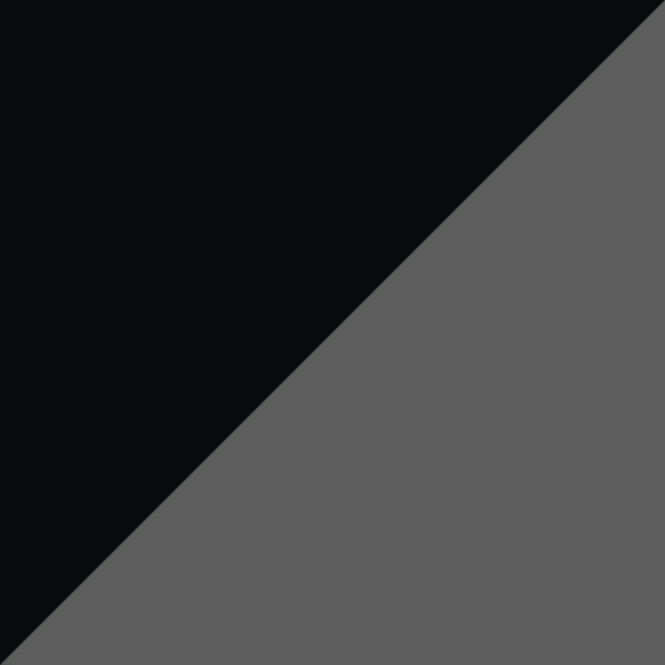 Black / Midnight Express Polarized