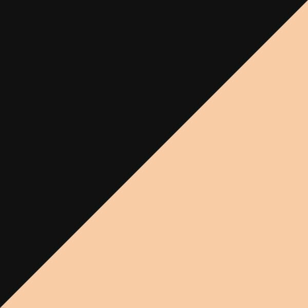 Shiny Black on Orange Gold