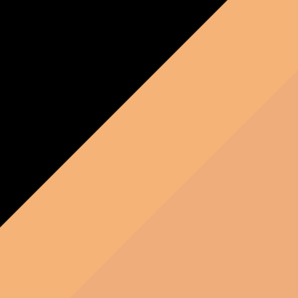 Black/Full Orange