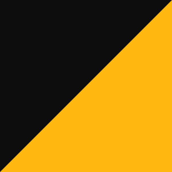 Polished Black / Prizm 24K Mirrored