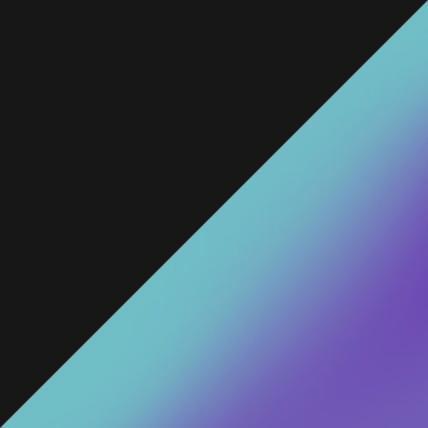 Black Ink / Sapphire Iridium