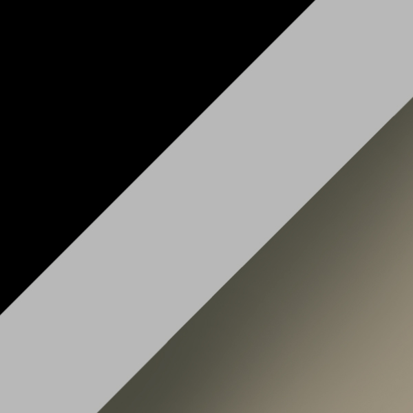 Black On Silver / Light Gray Gradient Dark Gray