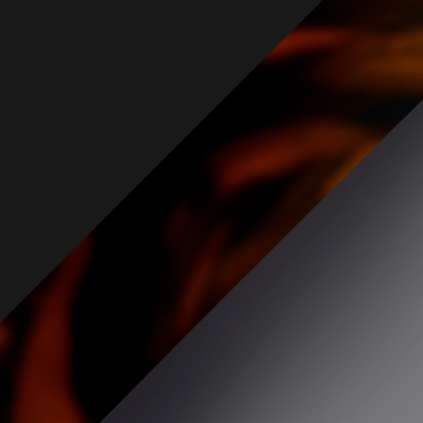 Black Malt Tortoise / Gray Gradient