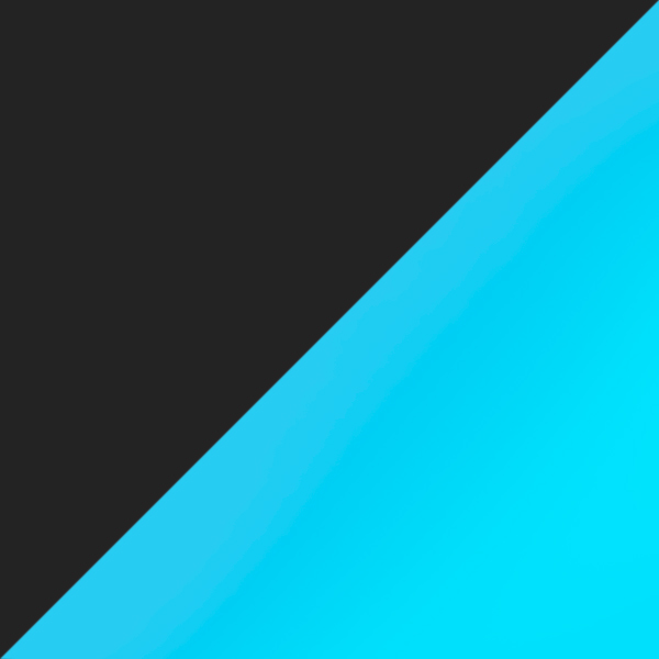 Matte Black Tortoise / Prizm Sapphr Iridium Polarized