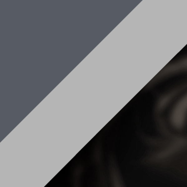 Full Dark Blue/Tortoise Gray