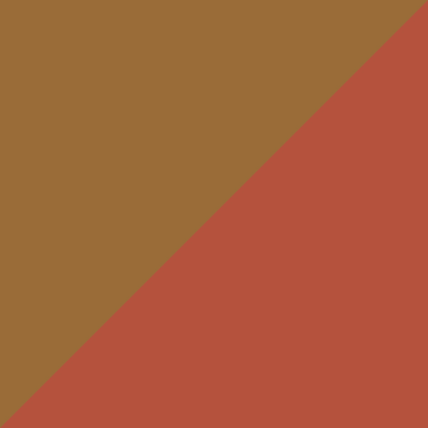 Matte Bronze/Red Havana