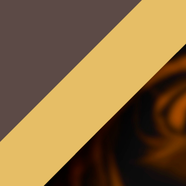 Top Matte Brown/Gold/Total Dark Havana