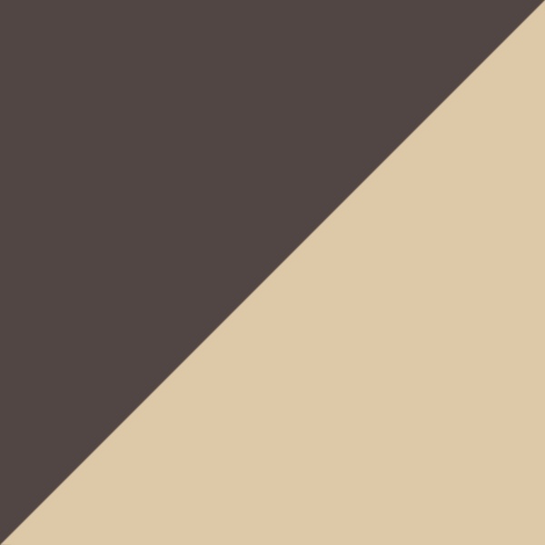 Brown Transparent/Light Gold / Brown Gradient