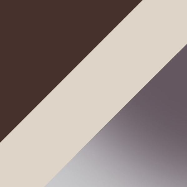 Transparent Brown / Gray Polarized