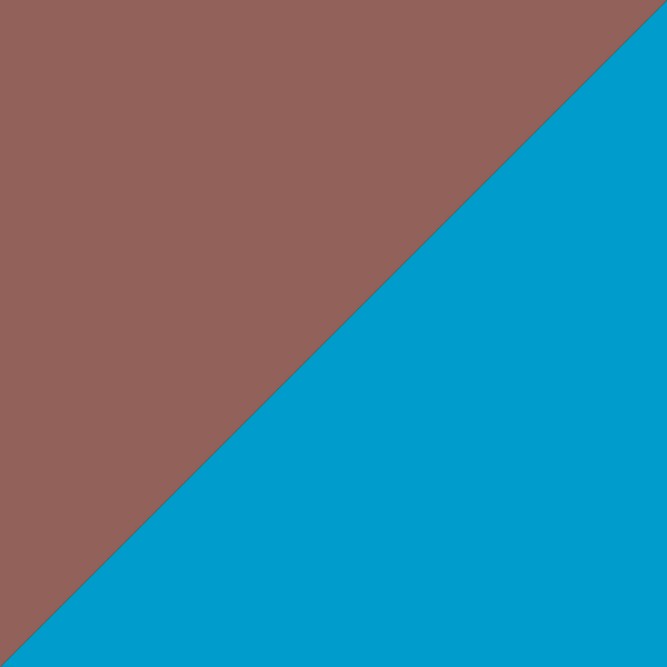 Brown Havana / Dark Blue