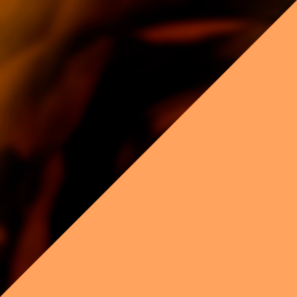 Matte Brown Tortoise / Prizm Rose Gold