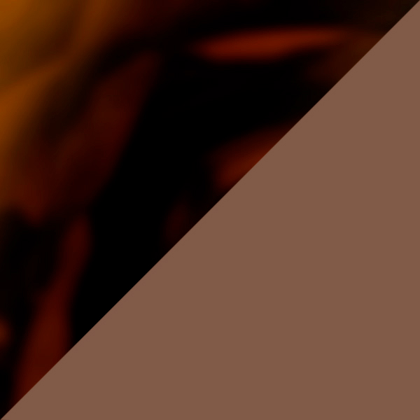 Matte Brown Tortoise / Prizm Tungsten