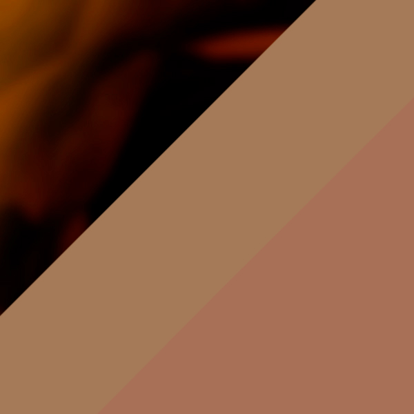 Brown Tortoise/Brown Smoke / Prizm Tungsten Mirrored