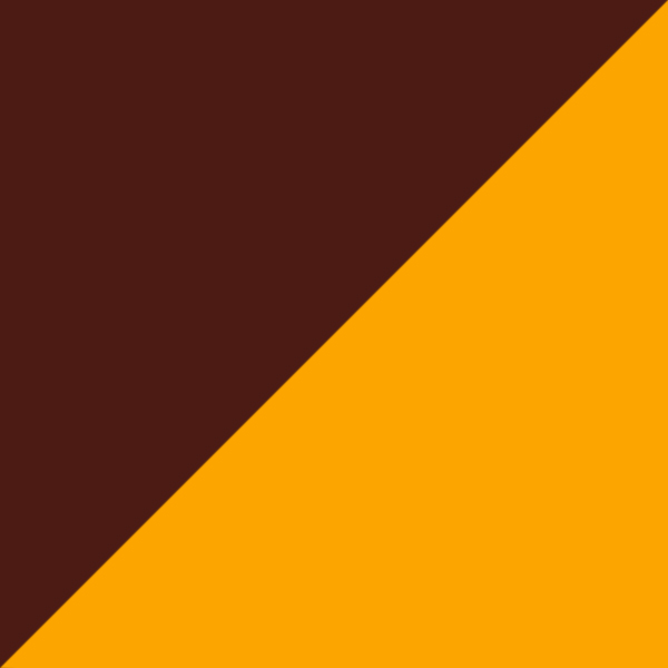 Brown Yellow Havana / Dark Gray
