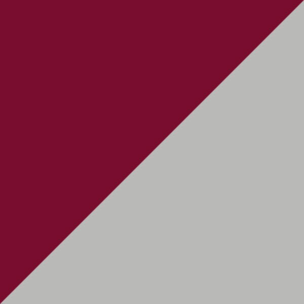 Burgundy/Silver