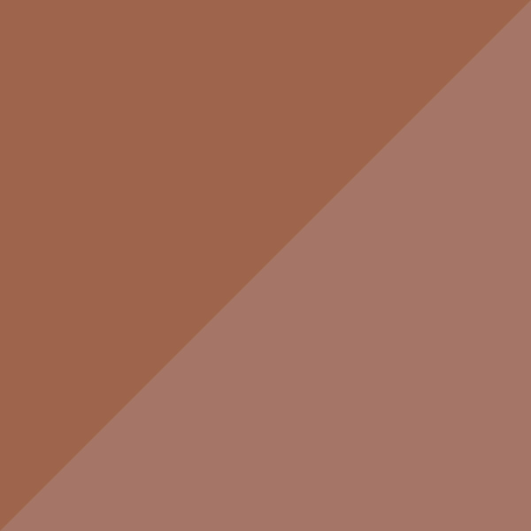 Transparent Caramel / Polarized Brown Gradient