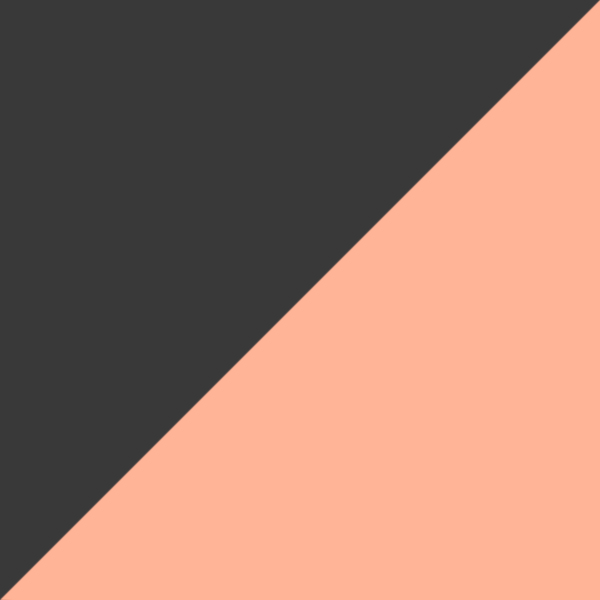 Carbon / Prizm Rose Gold