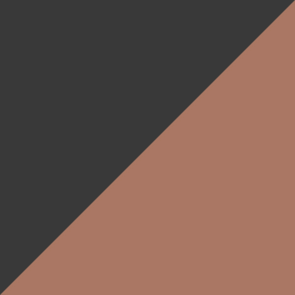 Matte Carbon / Prizm Tungsten Mirrored