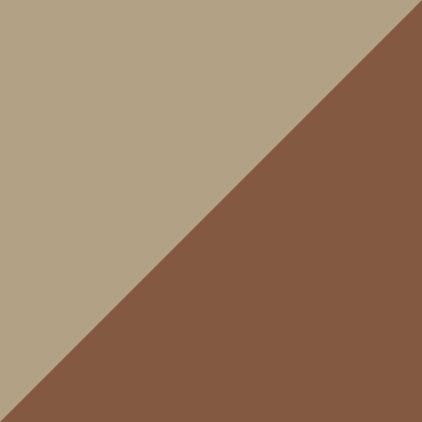 Desert Tan / Prizm Tungsten