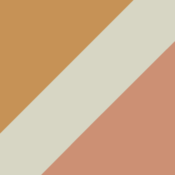 Desert Tortoise / Brown