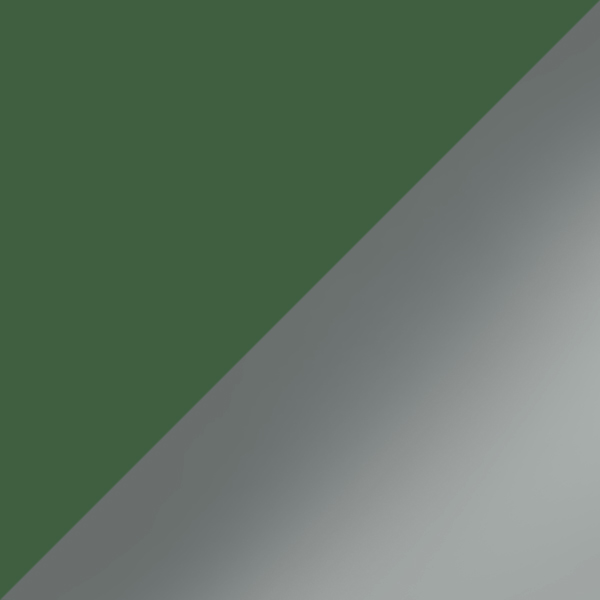 Dusty Green/Total Dark Havana / Gray Gradient