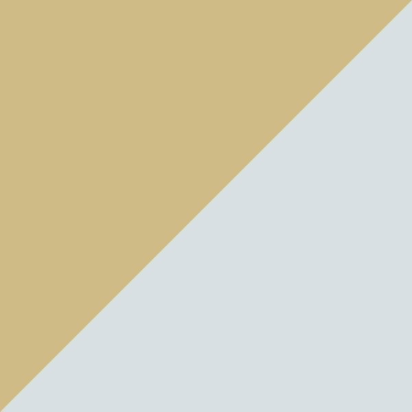 Pale Gold / Photochromatic Azure